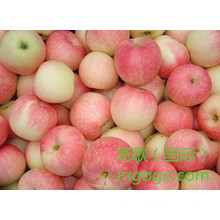 Export Good Quality Fresh Chinese Gala Apple